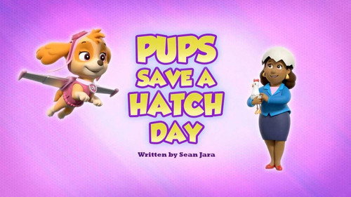 Pups Save a Hatch Day still