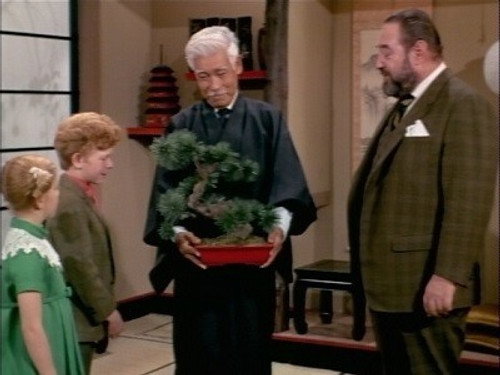 Family Affair Season 4 Episode 17 - Mr. Osaki's Tree