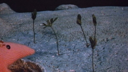 Clangers Season 2 Episode 8 - The Seed