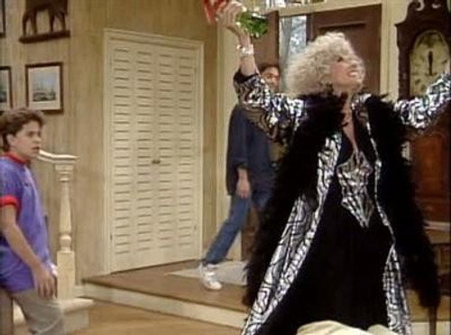 Charles in Charge Season 4 Episode 23 - Aunt Vanessa