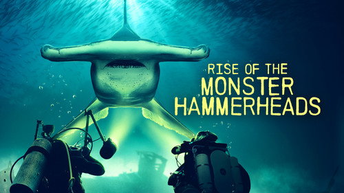 Shark Week Season 35 Episode 6 - Rise of the Monster Hammerheads