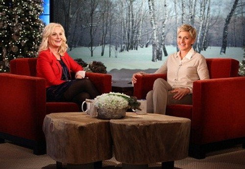 Day #12 of 12 Days of Giveaways - Amy Poehler still