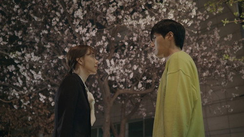 You Drive Me Crazy Season 1 Episode 4 - Don’t Confuse Me