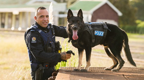 Dog Squad Season 14 Episode 8 - Episode 8