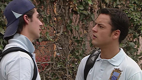 Fastidiar a Diego still