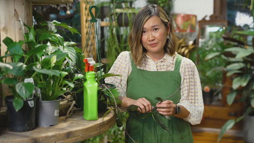 Gardening Australia Season 36 Episode 2 - Episode 2 Autumn: Kitchen Garden & a Community Nursery