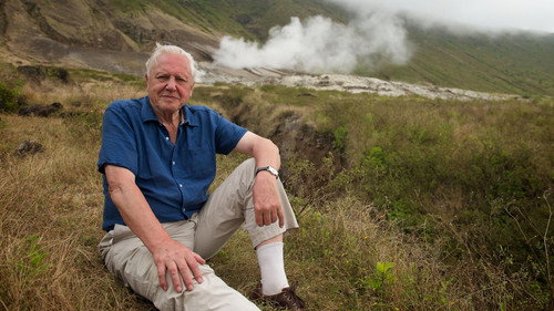 Nature Season 43 Episode 5 - Attenborough’s Life Journey
