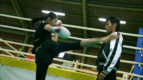 Kamen Rider Season 22 Episode 21 - Mislead Course