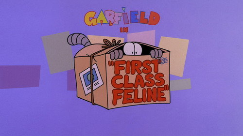 First Class Feline still