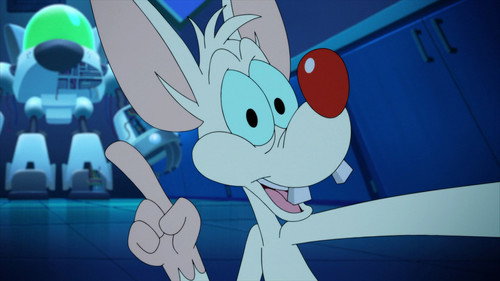 Animaniacs Season 3 Episode 3 - How to Friendship