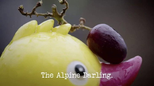 Taskmaster: Champion of Champions Season 1 Episode 3 - The Alpine Darling
