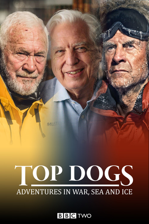 Top Dogs: Adventures in War, Sea and Ice poster