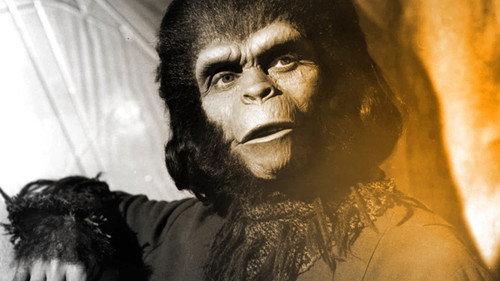 Timeshift Season 5 Episode 5 - Apes in Hollywood