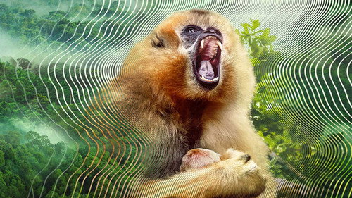 Secret World of Sound Season 1 Episode 2 - Love and Rivals