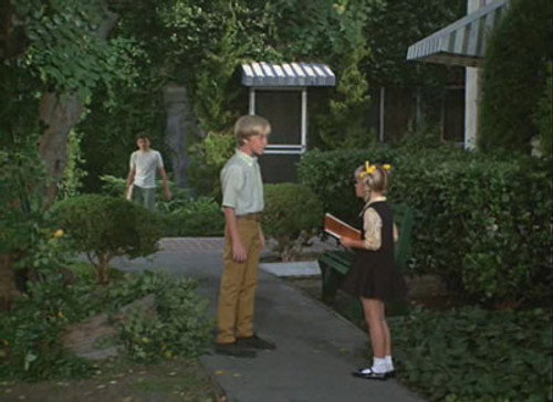 The Brady Bunch Season 2 Episode 8 - A Fistful of Reasons