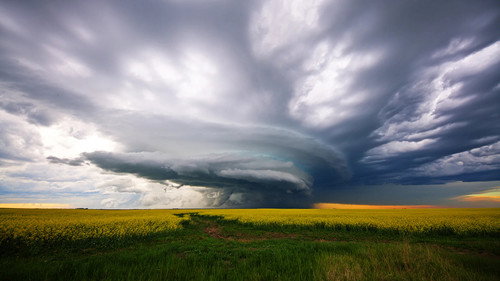 The Nature of Things Season 60 Episode 8 - Wild Canadian Weather - Wind
