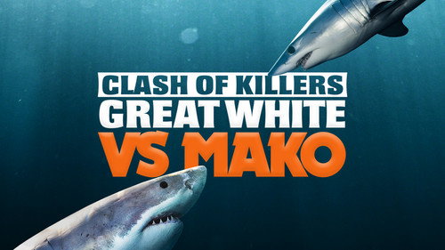 Shark Week Season 35 Episode 17 - Clash of Killers: Great White vs. Mako