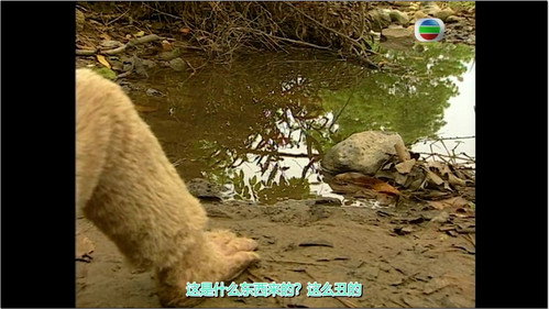 Journey to the West Season 1 Episode 1 - The Stone Monkey Breaks Free from the Rock