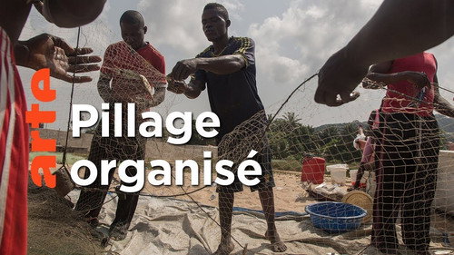 ARTE Reportage Season 20 Episode 3 - Episode 3