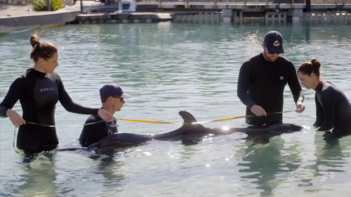 Gold Coast Ocean Rescue Season 1 Episode 5 - Episode 5