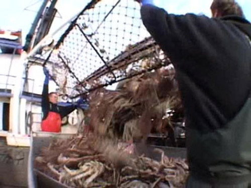 Deadliest Catch Season 2 Episode 3 - On the Crab