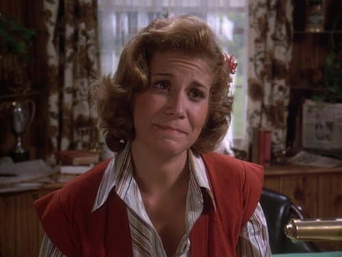 Eight Is Enough Season 2 Episode 2 - Trial Marriage