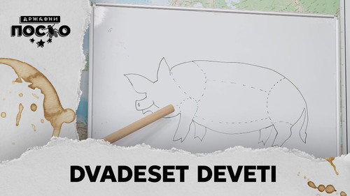 2458 Dvadeset deveti still