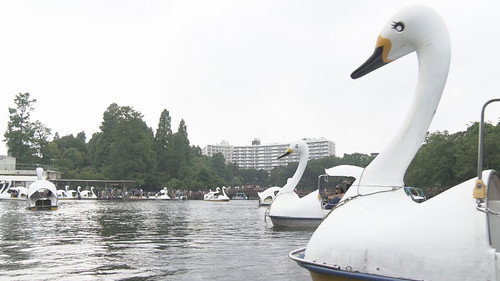 Document 72 Hours Season 11 Episode 10 - Finding Solace at Inokashira Park