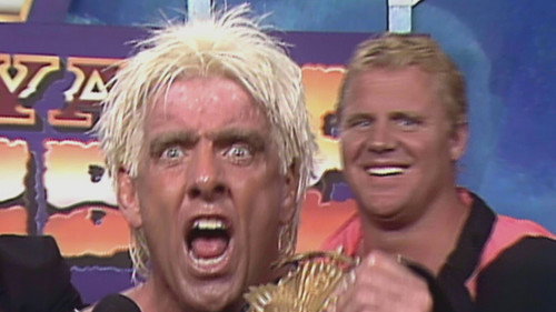WWE's Greatest Moments Season 2 Episode 6 - Mic Drops of the 90's