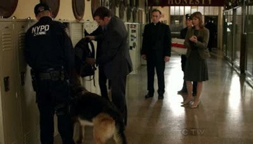 Blue Bloods Season 1 Episode 6 - Smack Attack