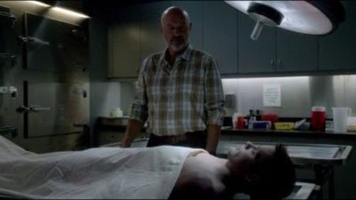 Hawaii Five-0 Season 4 Episode 5 - Kupu‘eu (Fallen Hero)