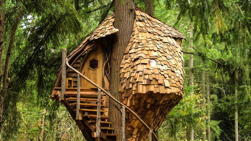 Treehouse Masters Season 4 Episode 4 - International: Brazil