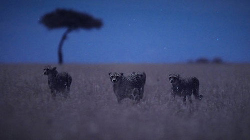 Night on Earth Season 1 Episode 1 - Moonlit Plains