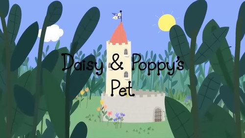 Daisy & Poppy's Pet still