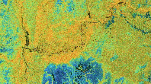 Tech Now Season 2 Episode 19 - Rainforests: Can Tech Help to Protect Trees?