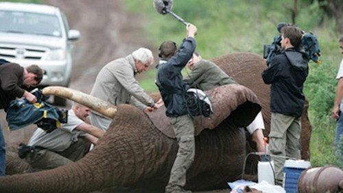 Earth from Above Season 2 Episode 2 - Men and Animals
