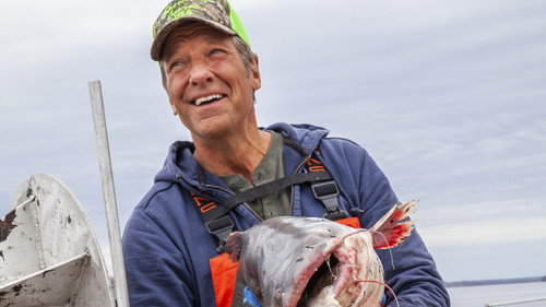 Dirty Jobs Season 11 Episode 4 - Caviar Harvester / Spice Maker