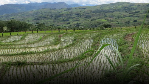 Anthony Bourdain: Parts Unknown Season 1 Episode 7 - Peru