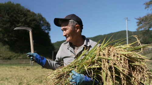 NHK WORLD PRIME Season 8 Episode 5 - A Fukushima Photo Album