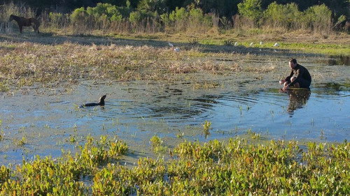 Apex Predator Season 1 Episode 6 - Save Your Breath: Otter