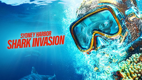 Shark Week Season 37 Episode 4 - Sydney Harbor Shark Invasion