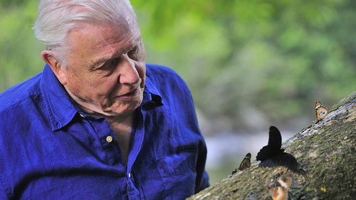 David Attenborough's Global Adventure Season 1 Episode 2 - Home Planet