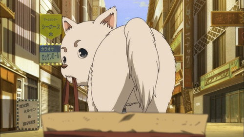 undefined Season 6 Episode 13 - Dog Food Doesn't Taste Like You Think