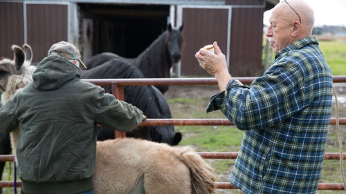 The Incredible Dr. Pol Season 5 Episode 7 - Talk Turkey to Me