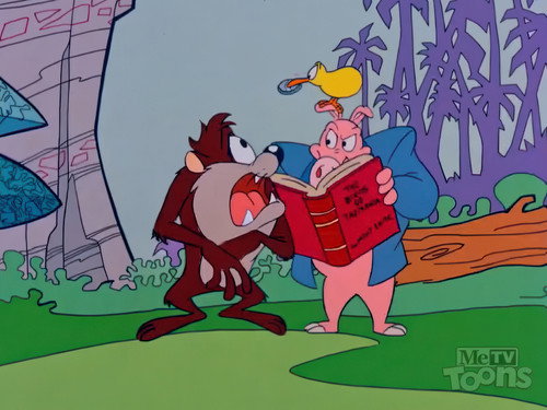 Taz-Mania Season 1 Episode 7 - Kee-Wee ala King