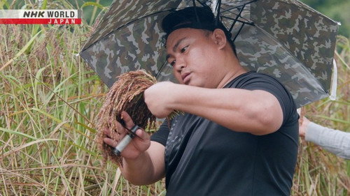 Asia Insight Season 13 Episode 5 - Rice Heritage Revival: North Borneo, Malaysia