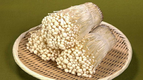 Trails to Oishii Tokyo Season 6 Episode 14 - ENOKI