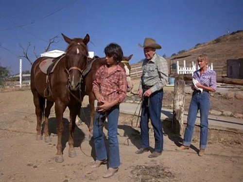 Quincy, M.E. Season 7 Episode 6 - For Want of a Horse