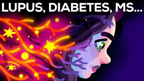 Kurzgesagt - In a Nutshell Season 13 Episode 9 - The Betrayal of Autoimmune Diseases
