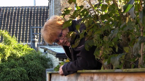 Mr. Frank Visser doet Uitspraak Season 7 Episode 8 - Episode 8